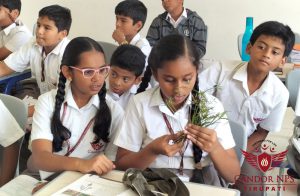 Science Study Candor NPS School Tirupati