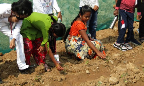 Organic Farming Candor NPS School Tirupati
