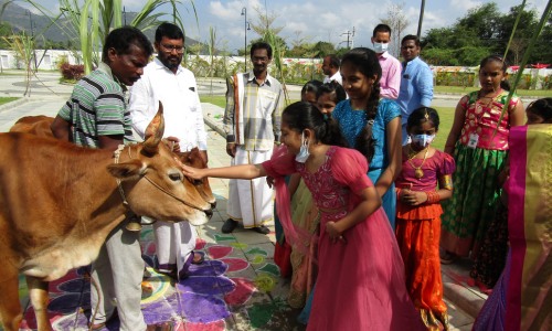 Farming Candor NPS School Tirupati